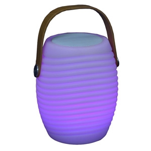 RGB Light Bluetooth Speaker