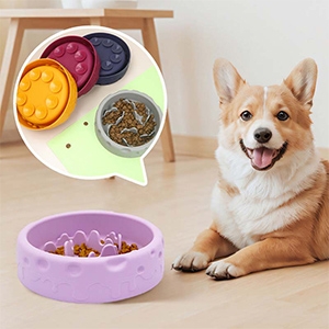 Silicone Puzzle Feeder