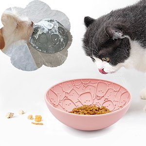 2 in 1 slow feeder bowl